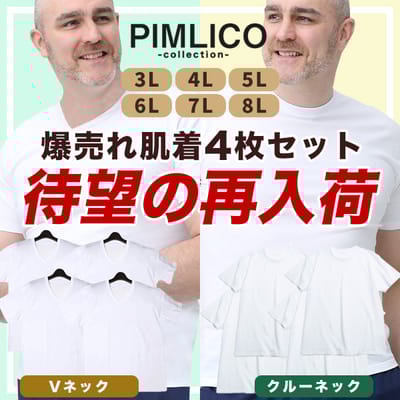 大好評！綿100％アンダーウェア