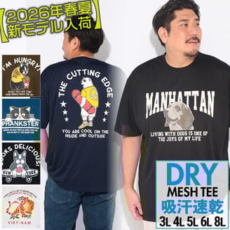 大人気「DRYメッシュTシャツ」に新デザイン追加！