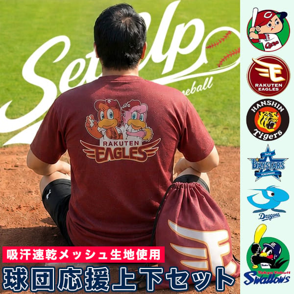 【BT重】球団セットアップ