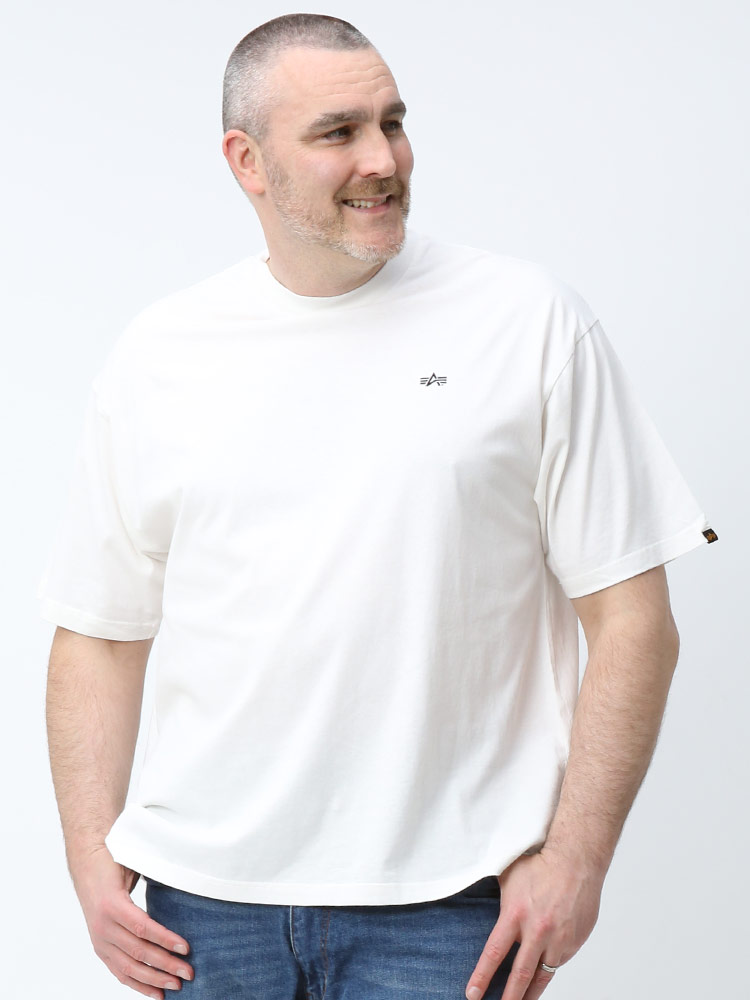大きいサイズ メンズ ALPHA INDUSTRIES INC (アルファインダストリーズ) バックBOXプリント ペイズリー クルーネック 半袖 Tシャツ