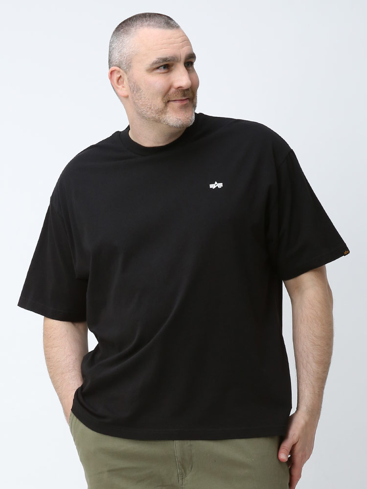 大きいサイズ メンズ ALPHA INDUSTRIES INC (アルファインダストリーズ) バックBOXプリント ペイズリー クルーネック 半袖 Tシャツ