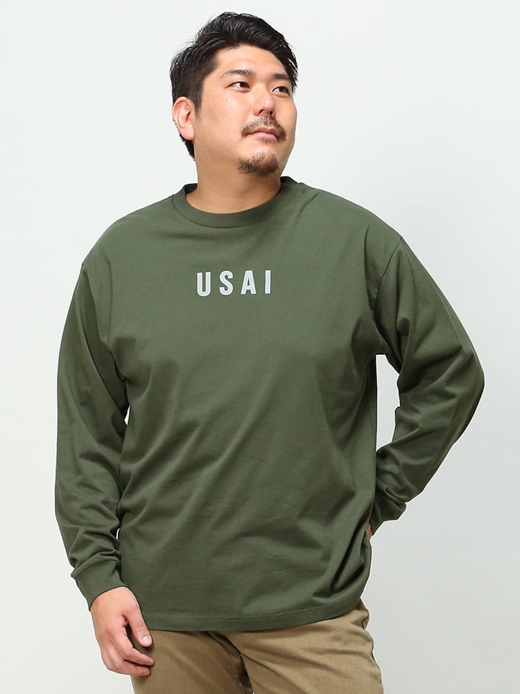 大きいサイズ メンズ ALPHA INDUSTRIES INC (アルファインダストリーズ) バックプリント クルーネック 長袖 Tシャツ