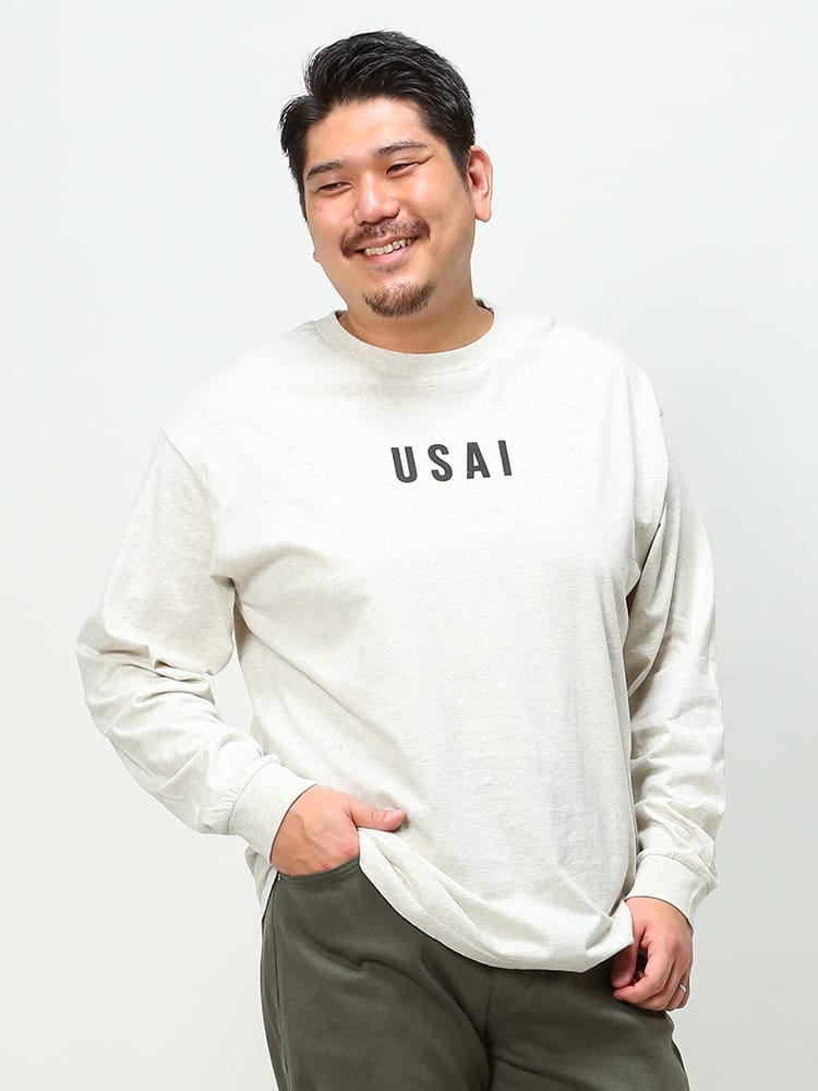 大きいサイズ メンズ ALPHA INDUSTRIES INC (アルファインダストリーズ) バックプリント クルーネック 長袖 Tシャツ