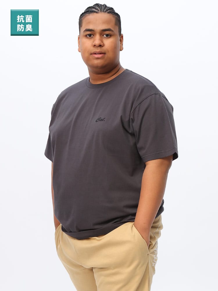 半袖 Tシャツ 抗菌 消臭 防臭 ワンポイントロゴ ししゅう クルーネック トップス クルー 大きいサイズ メンズ