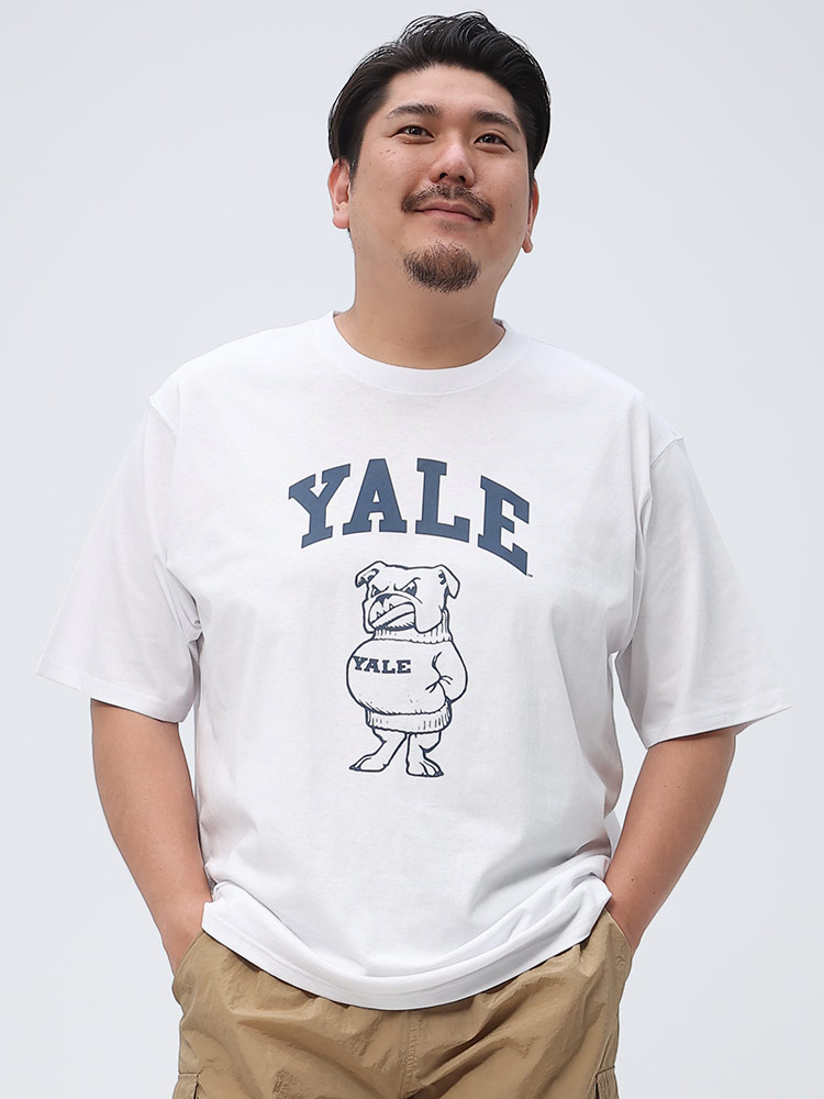 大きいサイズ メンズ YALE (イェール) ロゴプリント クルーネック 半袖 Tシャツ