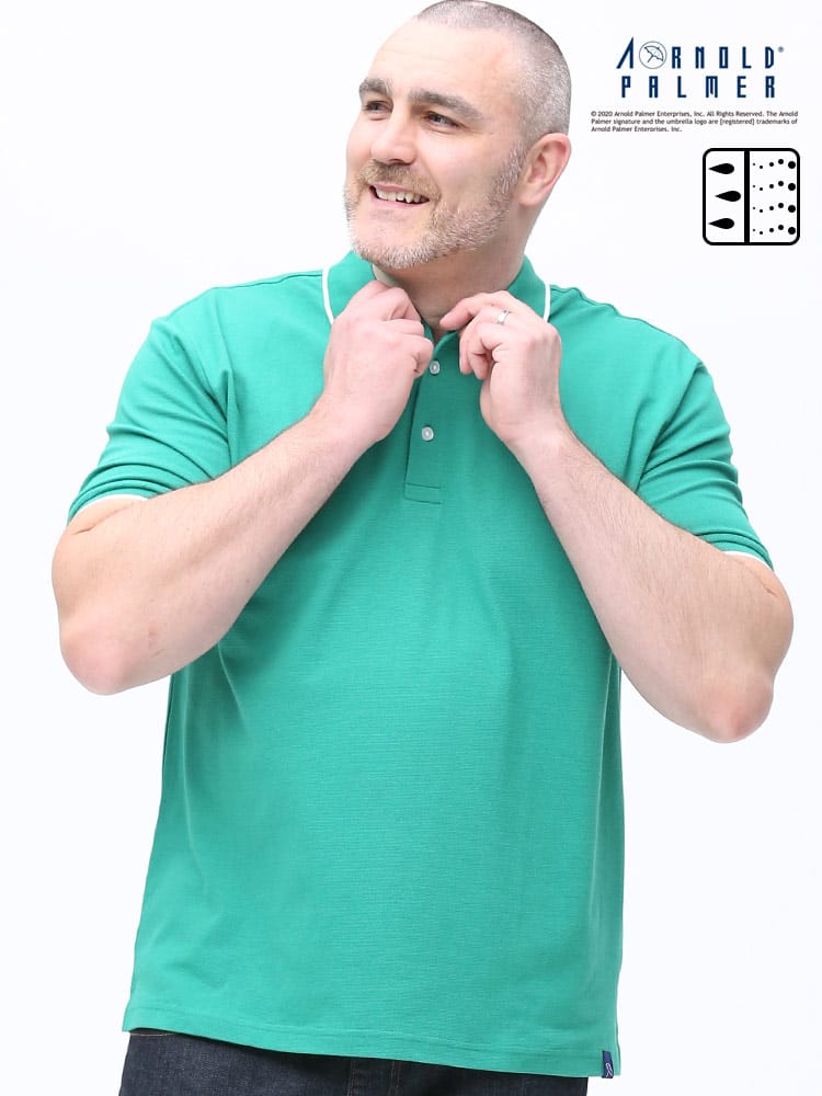 大きいサイズ メンズ Arnold Palmer (アーノルドパーマー) ドライ 鹿の子 ライン 半袖 ポロシャツ