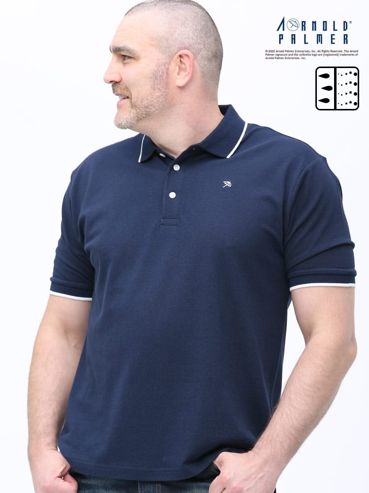 大きいサイズ メンズ Arnold Palmer (アーノルドパーマー) ドライ 鹿の子 ライン 半袖 ポロシャツ