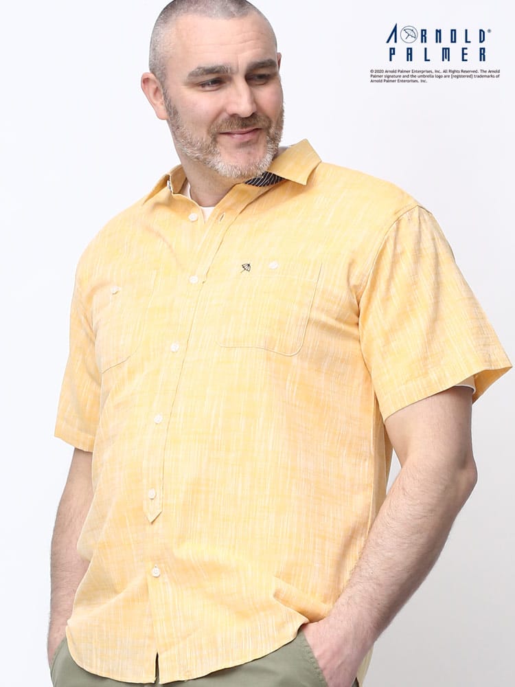 大きいサイズ メンズ Arnold Palmer (アーノルドパーマー) スラブ シャンブレー レギュラーカラー 半袖 シャツ