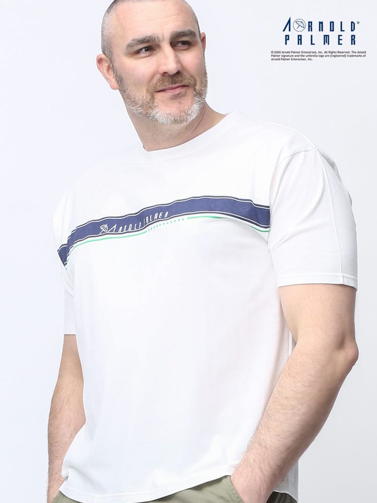 在庫処分 返品交換不可 大きいサイズ メンズ Arnold Palmer (アーノルドパーマー) 抗菌防臭 天竺 ライン ロゴ刺繍 クルーネック 半袖 Tシャツ