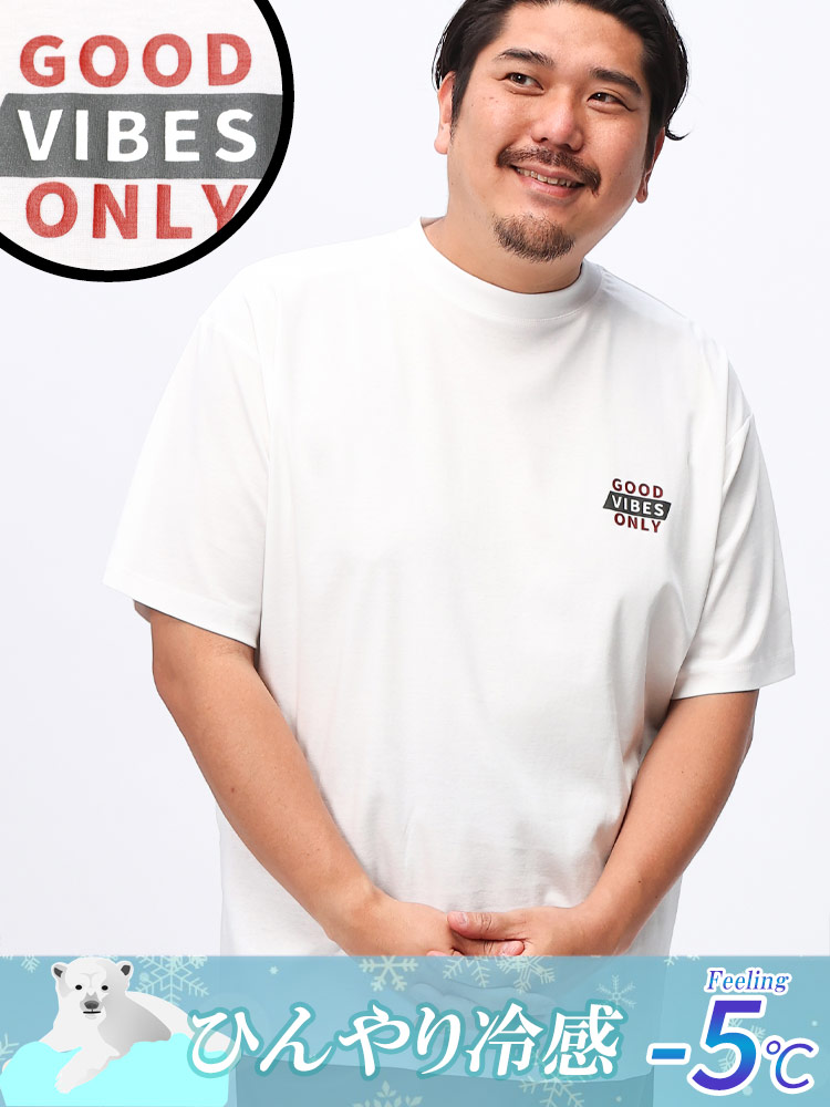 半袖 Tシャツ USAコットン×COOL レトロデザインロゴ クルーネック トップス  大きいサイズ メンズ 