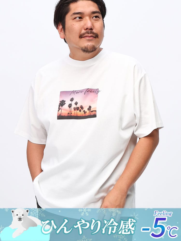 半袖 Tシャツ USAコットン×COOL フォト×ロゴ クルーネック トップス  大きいサイズ メンズ 