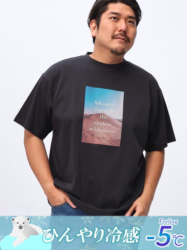 半袖 Tシャツ USAコットン×COOL フォト×ロゴ クルーネック トップス  大きいサイズ メンズ 