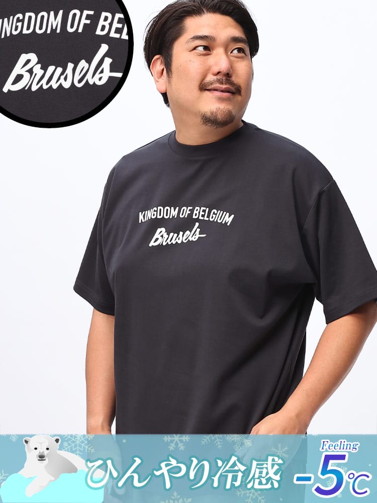 在庫処分 返品交換不可 半袖 Tシャツ USAコットン×COOL レタリングロゴ クルーネック トップス  大きいサイズ メンズ 