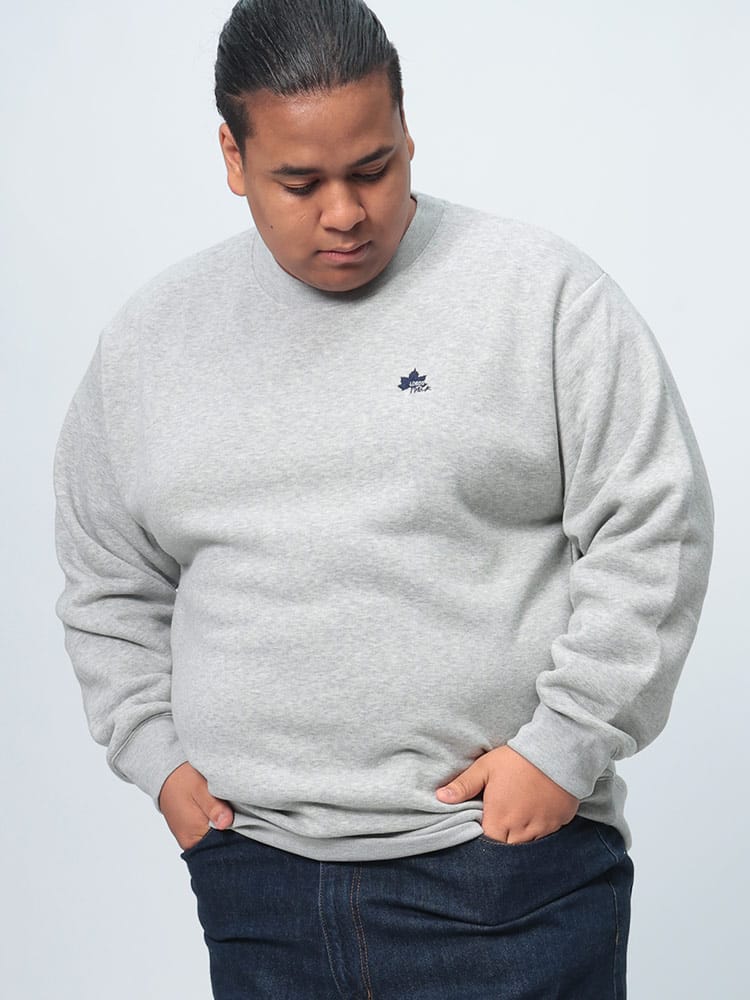 トレーナー 裏起毛 胸ロゴ刺繍 クルーネック トップス プルオーバー 長袖 秋冬 大きいサイズ メンズ