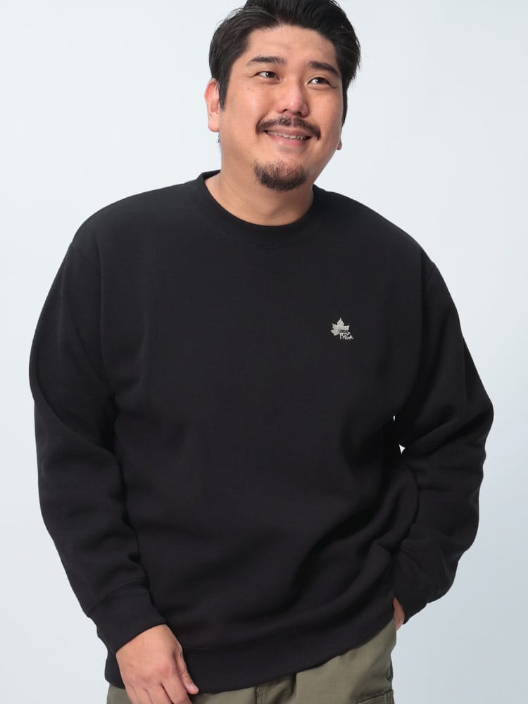 トレーナー 裏起毛 胸ロゴ刺繍 クルーネック トップス プルオーバー 長袖 秋冬 大きいサイズ メンズ