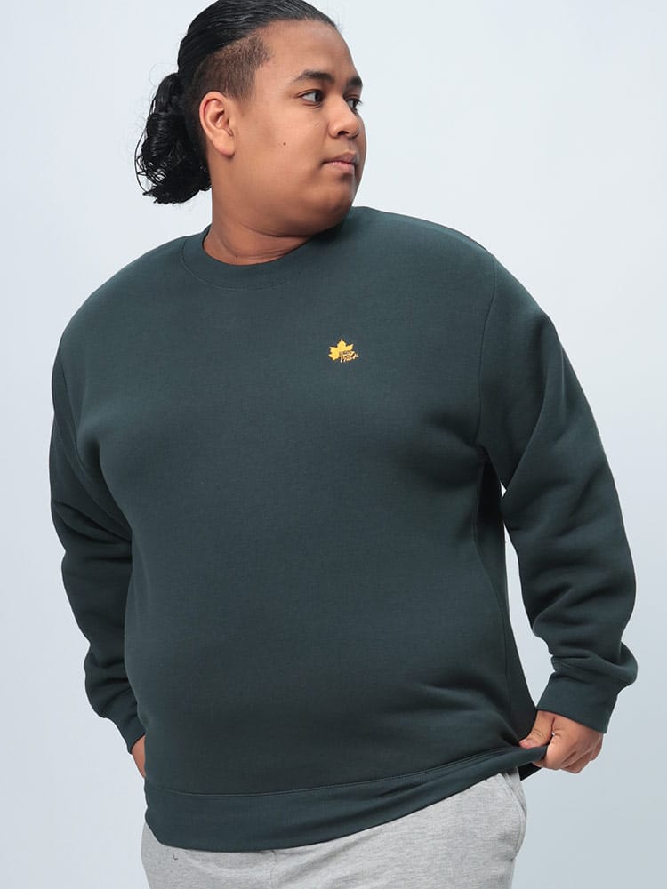 トレーナー 裏起毛 胸ロゴ刺繍 クルーネック トップス プルオーバー 長袖 秋冬 大きいサイズ メンズ