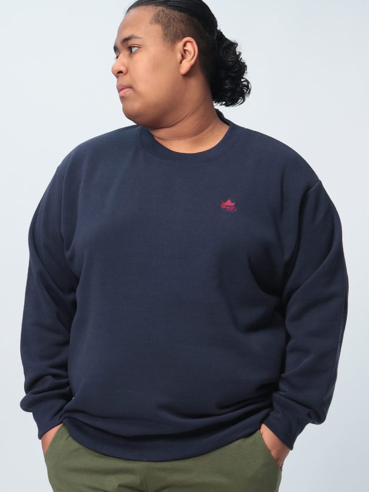 トレーナー 裏起毛 胸ロゴ刺繍 クルーネック トップス プルオーバー 長袖 秋冬 大きいサイズ メンズ