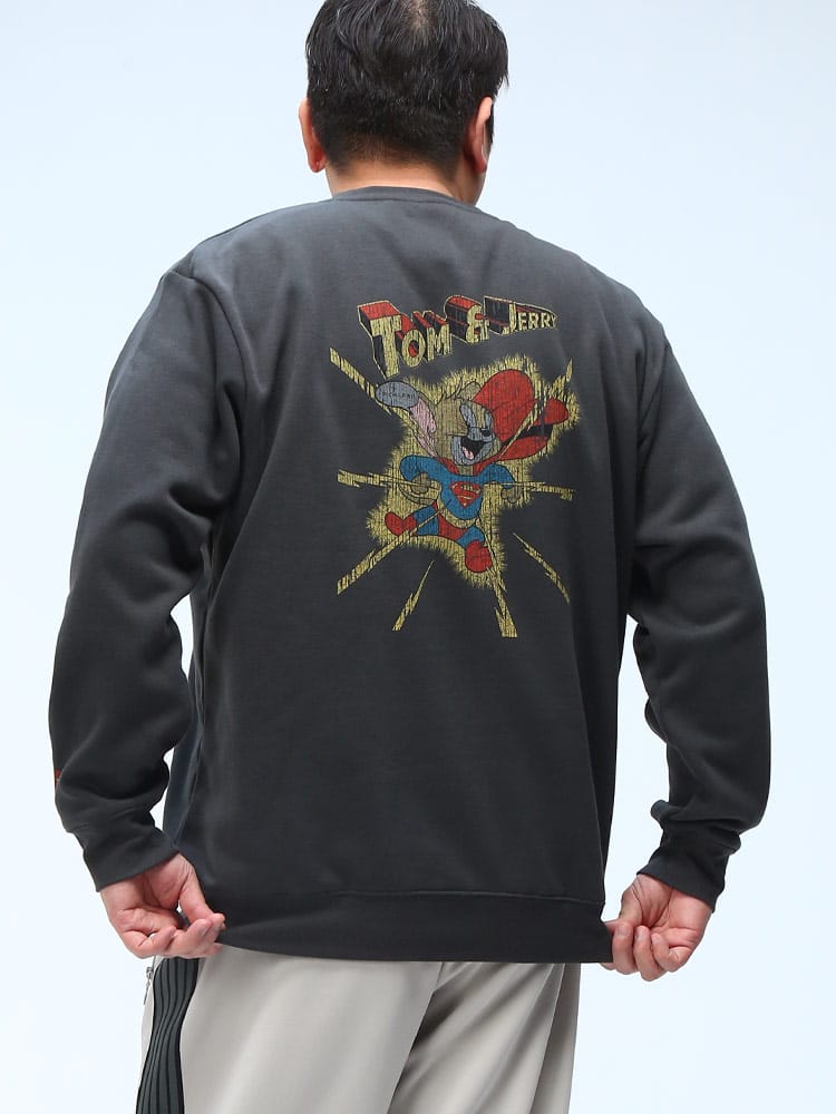 裏起毛 トレーナー ワーナー・ブラザーズ 100周年コラボ ピグメント風 トップス 長袖 プルオーバー スウェット 起毛 大きいサイズ メンズ