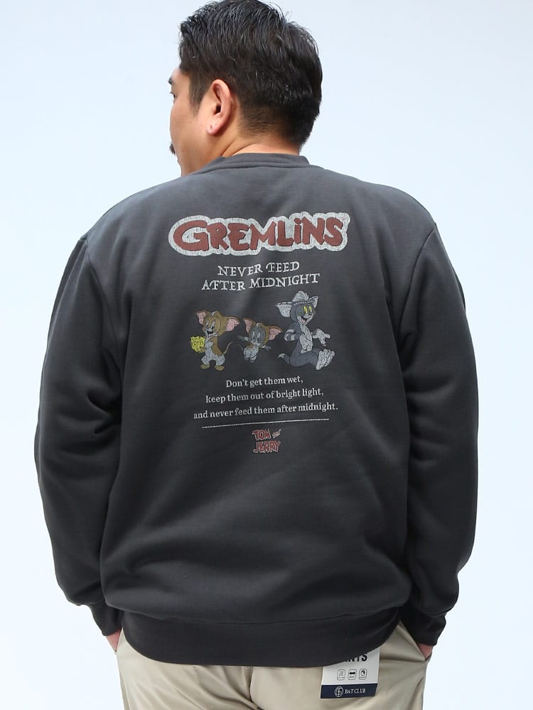 裏起毛 トレーナー ワーナー・ブラザーズ 100周年コラボ ピグメント風 トップス 長袖 プルオーバー スウェット 起毛 大きいサイズ メンズ