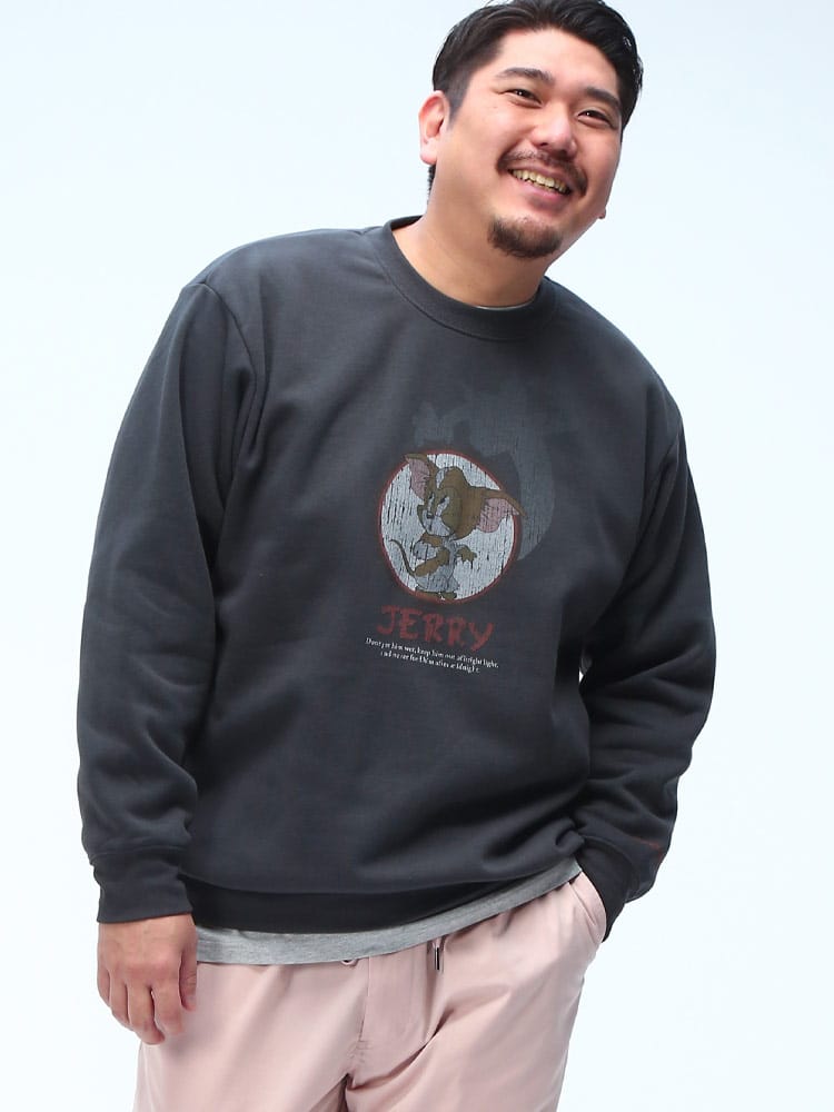 裏起毛 トレーナー ワーナー・ブラザーズ 100周年コラボ ピグメント風 トップス 長袖 プルオーバー スウェット 起毛 大きいサイズ メンズ