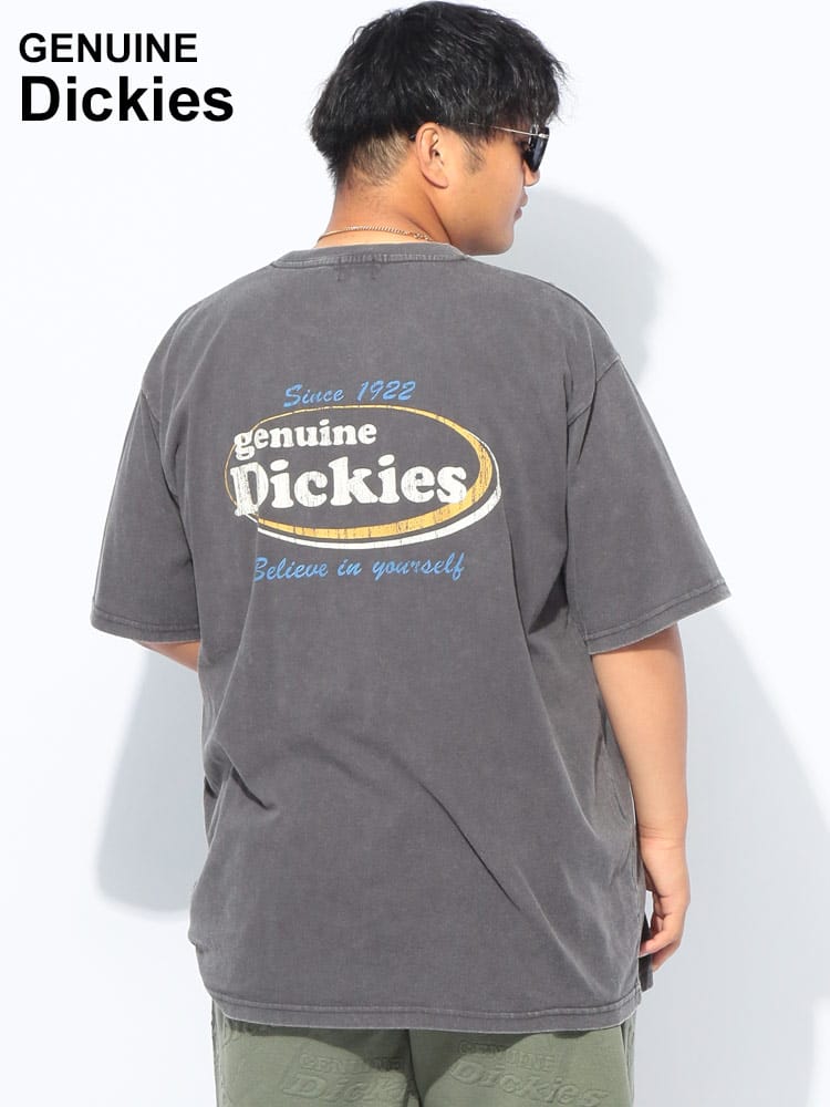 【WEB限定価格】Dickies (ディッキーズ) 天竺 ブリーチバックプリント クルーネック 半袖 Tシャツ