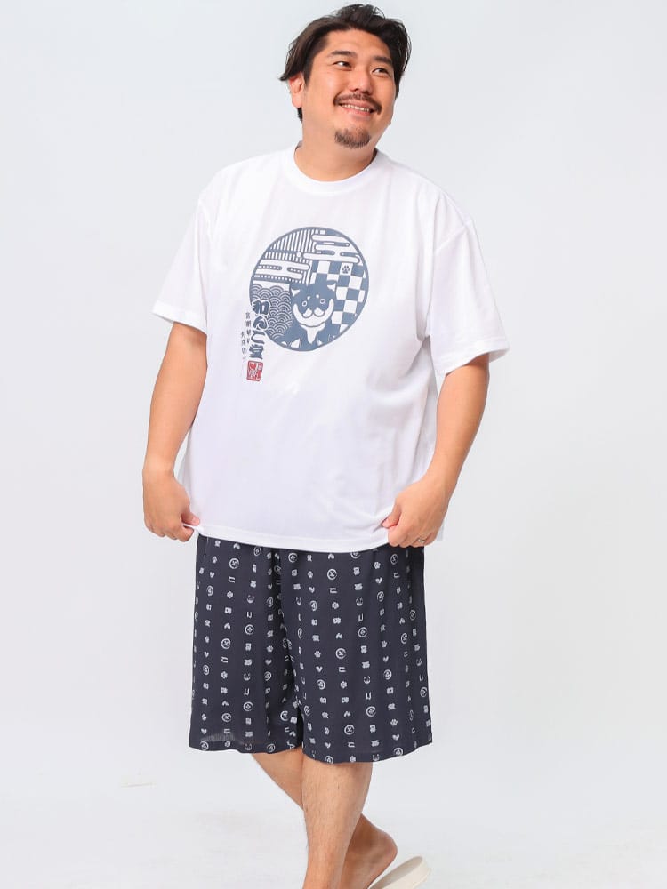 半袖 Tシャツ ハーフパンツ 上下セット 天竺 BIGプリント セットアップ上下セット 半ズボン 2点セット 大きいサイズ メンズ