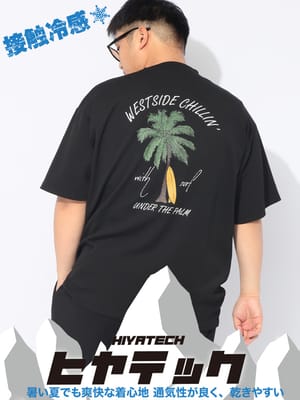 【WEB限定価格】ヒヤテック Tシャツ 半袖  接触冷感 ポンチ バックプリント トップス カットソー PALMTREE メンズ 大きいサイズ