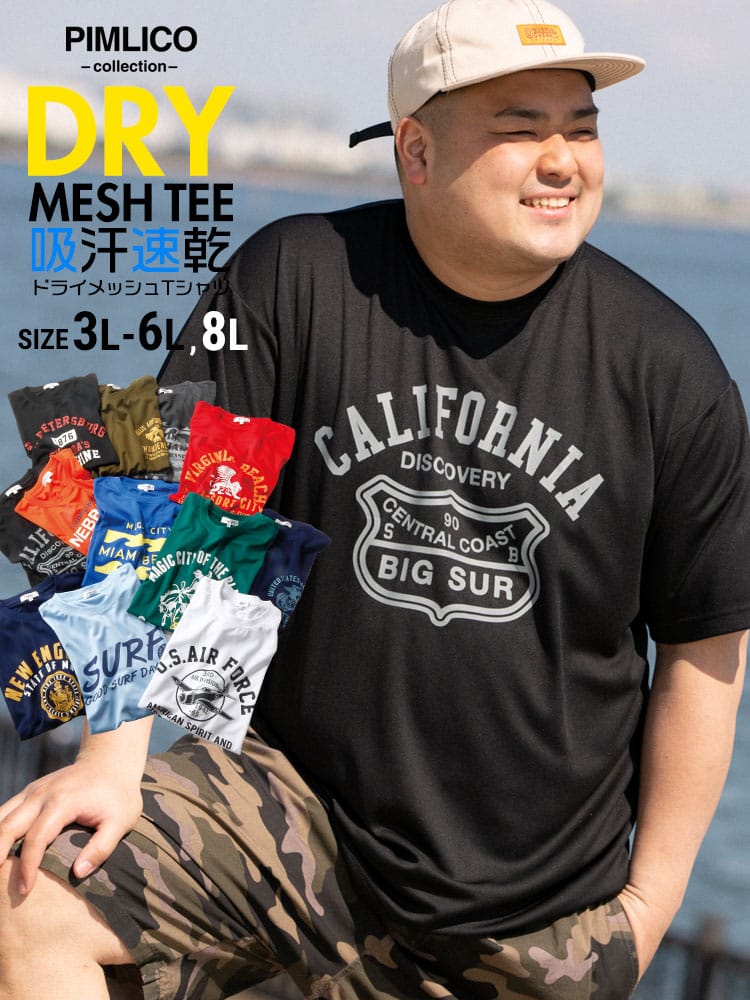 WEB限定 大きいサイズ メンズ PIMLICO (ピムリコ) DRYメッシュ プリント クルーネック 半袖 Tシャツ