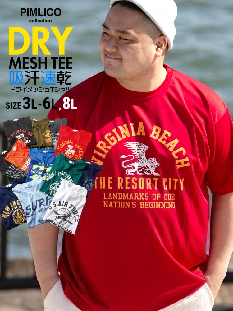 WEB限定 大きいサイズ メンズ PIMLICO (ピムリコ) DRYメッシュ プリント クルーネック 半袖 Tシャツ