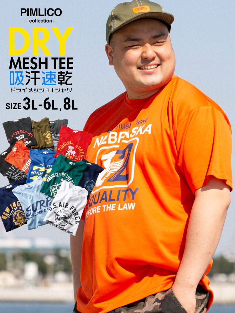 WEB限定 大きいサイズ メンズ PIMLICO (ピムリコ) DRYメッシュ プリント クルーネック 半袖 Tシャツ