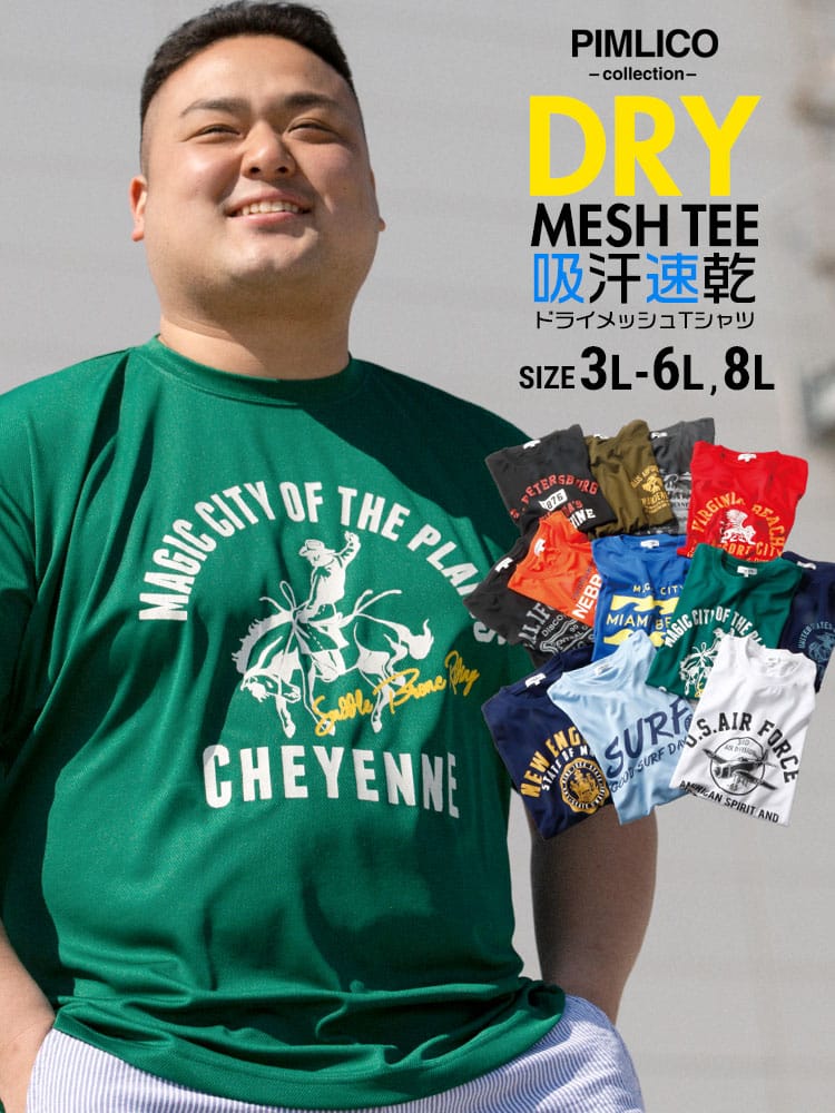 WEB限定 大きいサイズ メンズ PIMLICO (ピムリコ) DRYメッシュ プリント クルーネック 半袖 Tシャツ