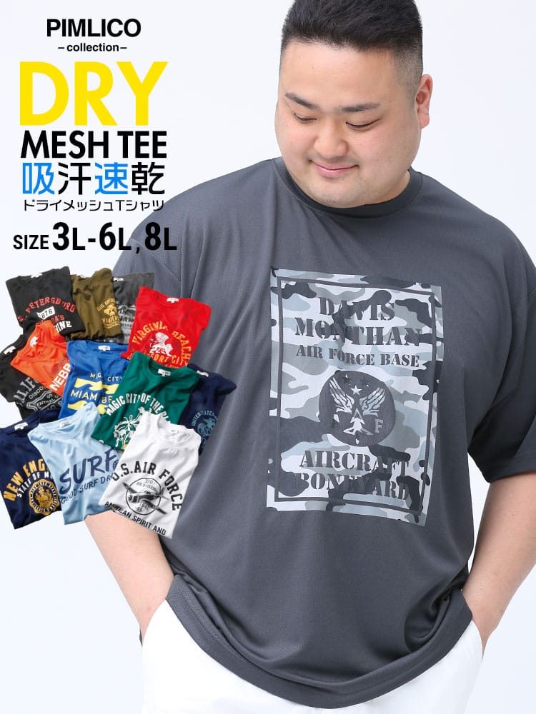 WEB限定 大きいサイズ メンズ PIMLICO (ピムリコ) DRYメッシュ プリント クルーネック 半袖 Tシャツ
