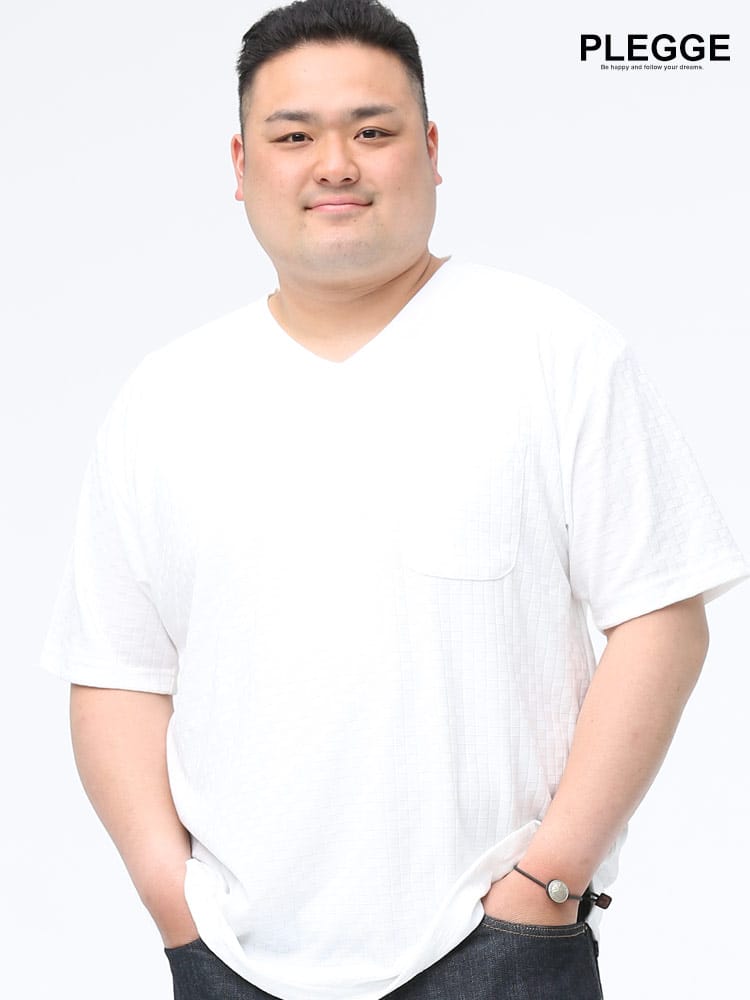 在庫処分 返品交換不可 大きいサイズ メンズ PLEGGI (プレッジ) ジャガード 小格子 Vネック ポケット付き 半袖 Tシャツ