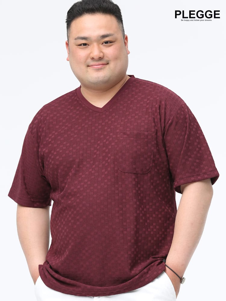 在庫処分 返品交換不可 大きいサイズ メンズ PLEGGI (プレッジ) ジャガード 小格子 Vネック ポケット付き 半袖 Tシャツ