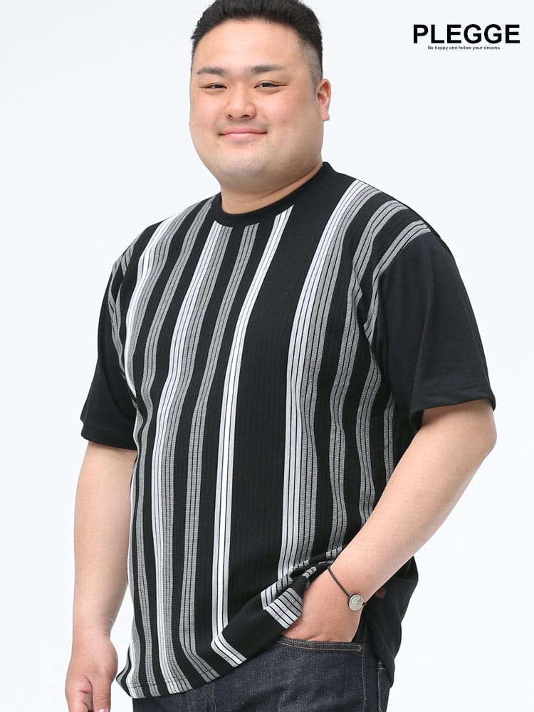 大きいサイズ メンズ PLEGGI (プレッジ) 抗菌防臭 リップル ストライプ クルーネック 半袖 Tシャツ