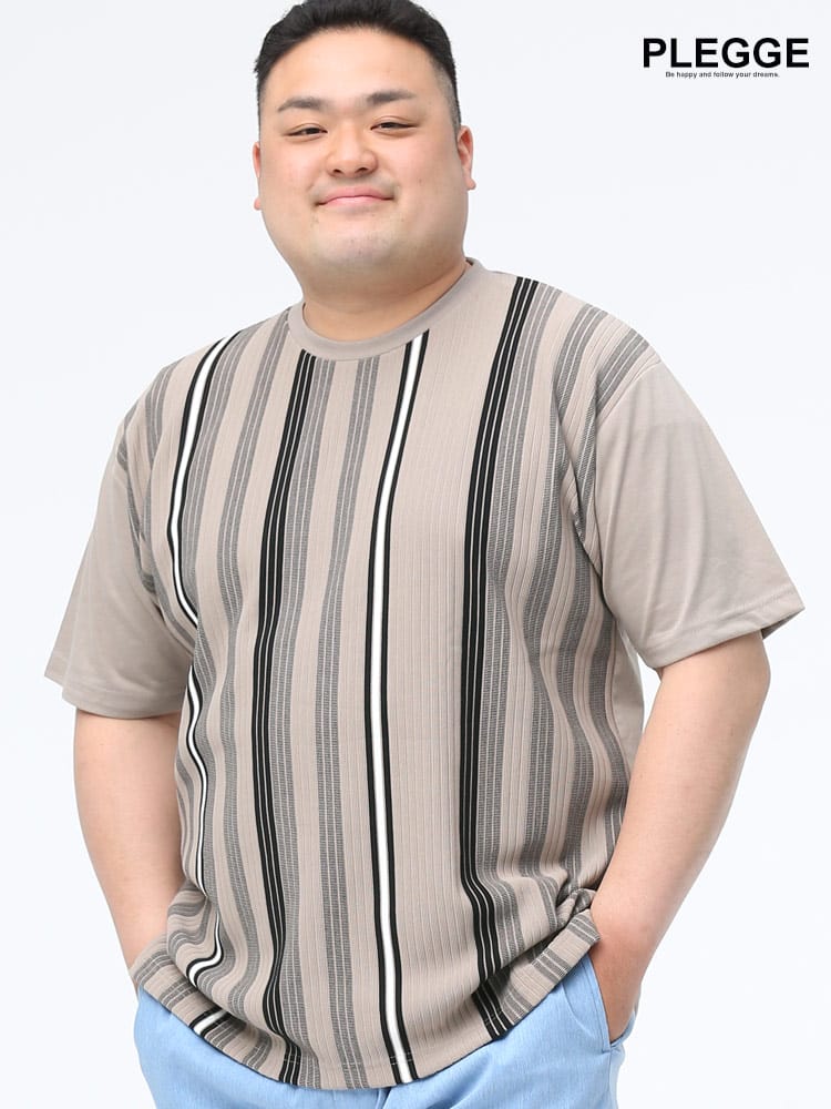 大きいサイズ メンズ PLEGGI (プレッジ) 抗菌防臭 リップル ストライプ クルーネック 半袖 Tシャツ