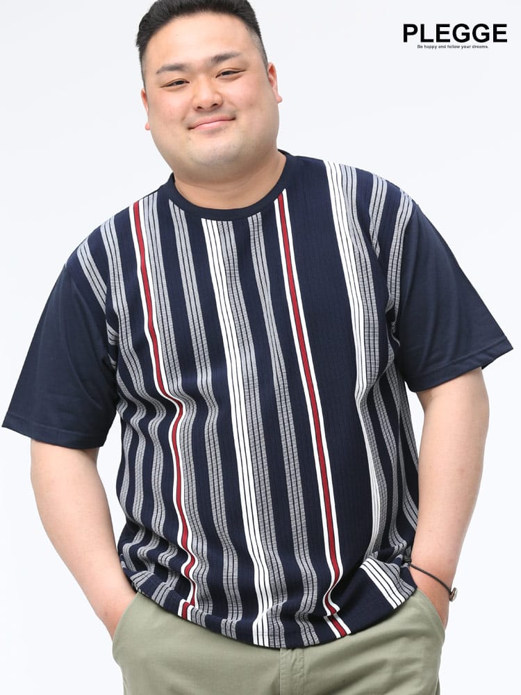 大きいサイズ メンズ PLEGGI (プレッジ) 抗菌防臭 リップル ストライプ クルーネック 半袖 Tシャツ