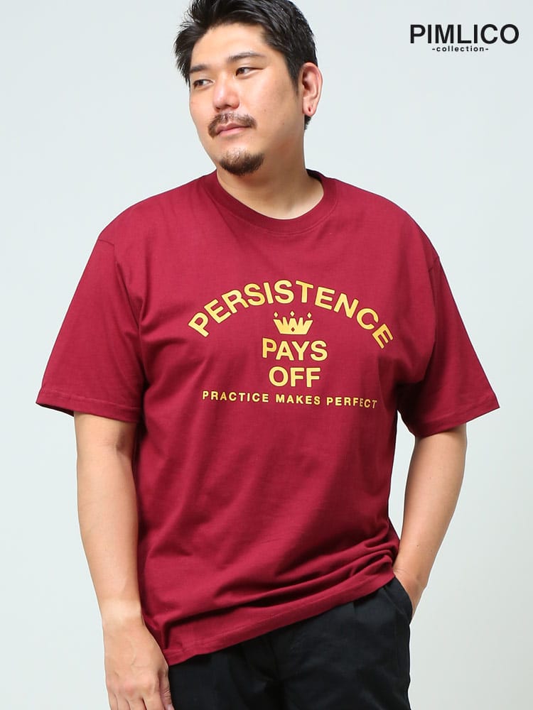 WEB限定 大きいサイズ メンズ PIMLICO (ピムリコ) 天竺 プリント クルーネック 半袖 Tシャツ sclt