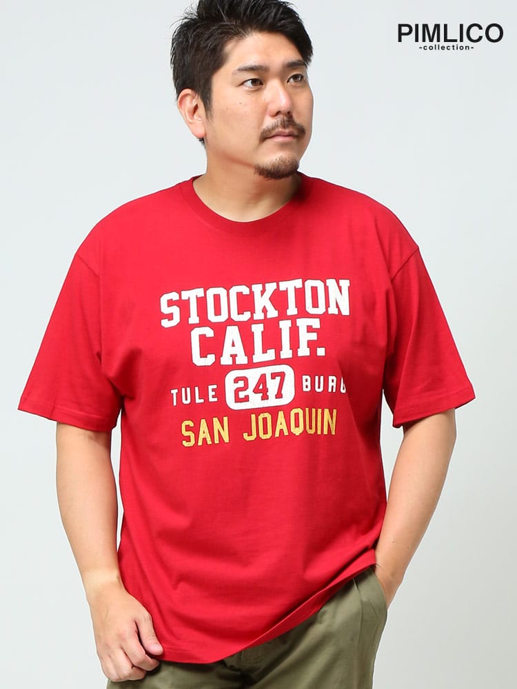 WEB限定 大きいサイズ メンズ PIMLICO (ピムリコ) 天竺 プリント クルーネック 半袖 Tシャツ sclt