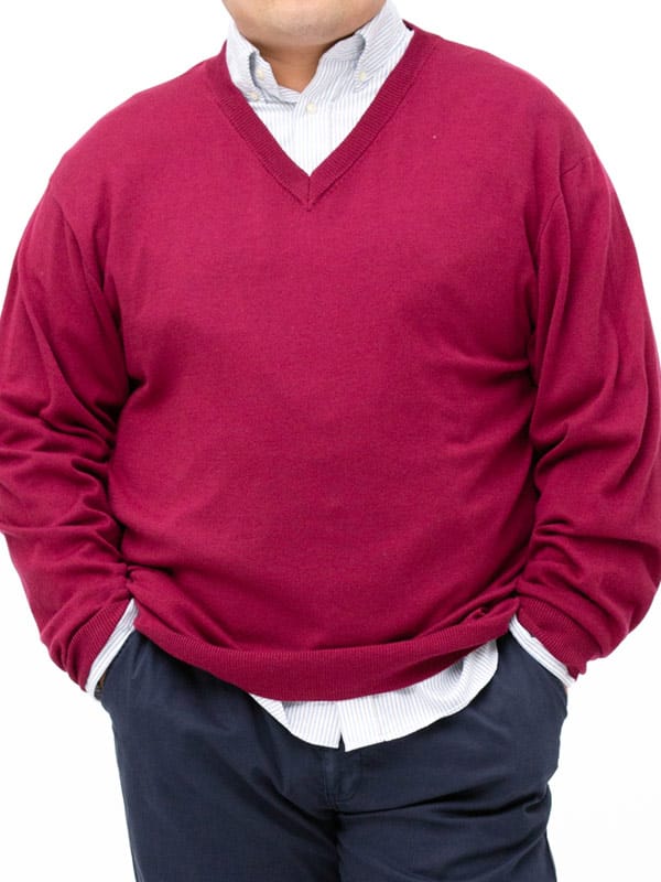 大きいサイズ メンズ B＆T CLUB (ビーアンドティークラブ) 快ラクWEAR ストレッチ カシミヤ混 Vネック 長袖 セーター
