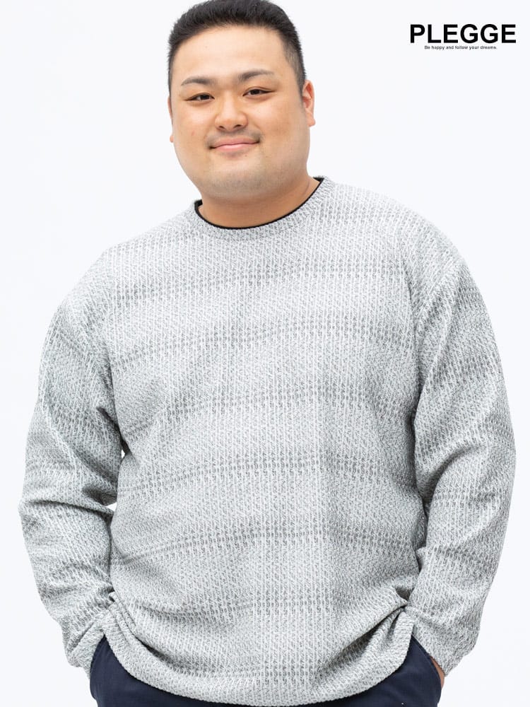 大きいサイズ メンズ PLEGGI (プレッジ) 制菌防臭 ジャガード フェイクレイヤード クルーネック Tシャツ
