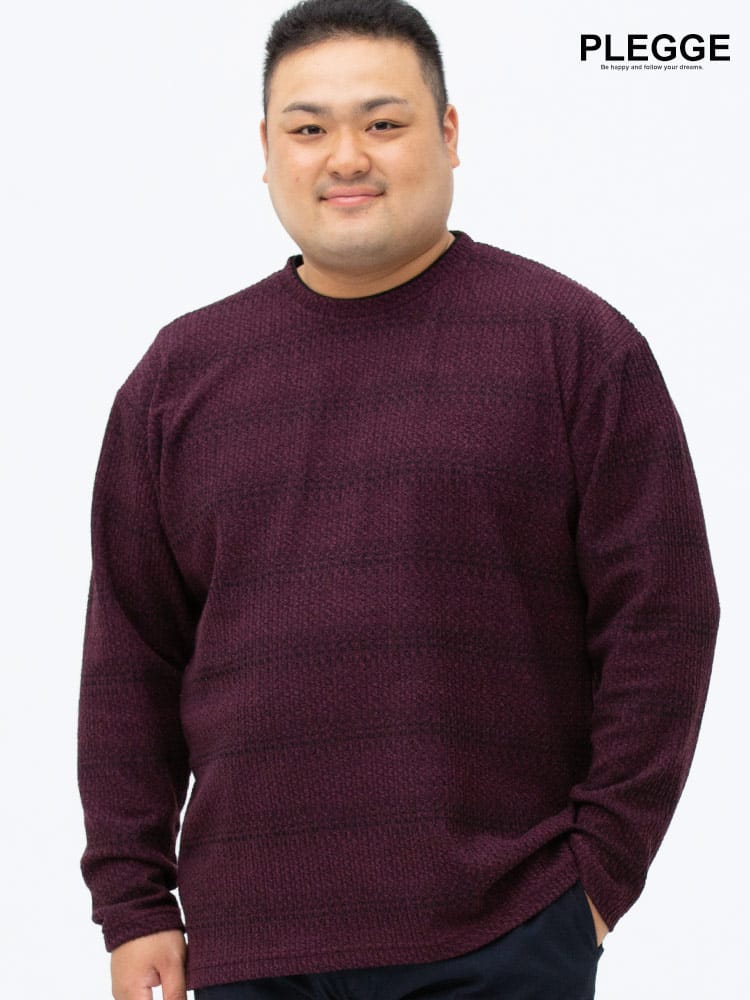 大きいサイズ メンズ PLEGGI (プレッジ) 制菌防臭 ジャガード フェイクレイヤード クルーネック Tシャツ
