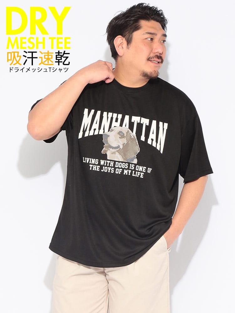 EC限定商品 半袖 Tシャツ 吸水速乾 DRYメッシュ クルーネック ドライ プリント 大きいサイズ メンズ