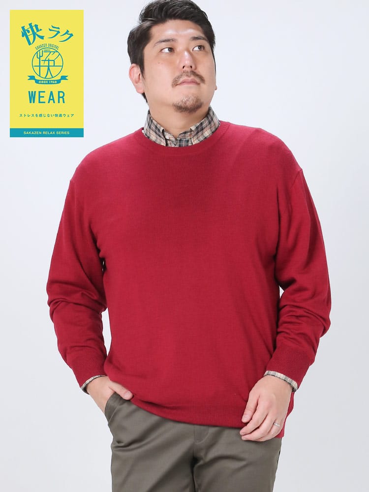 快ラクWEAR ウォッシャブル カシミヤ混 無地 クルーネック セーター 快楽 カイラク (B＆T CLUB) ビーアンドティークラブ 大きいサイズ メンズ