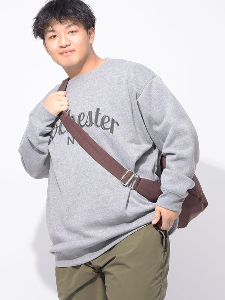 トレーナー 裏起毛 カレッジプリント トップス プルオーバー クルーネック 秋 冬 大きいサイズ メンズ