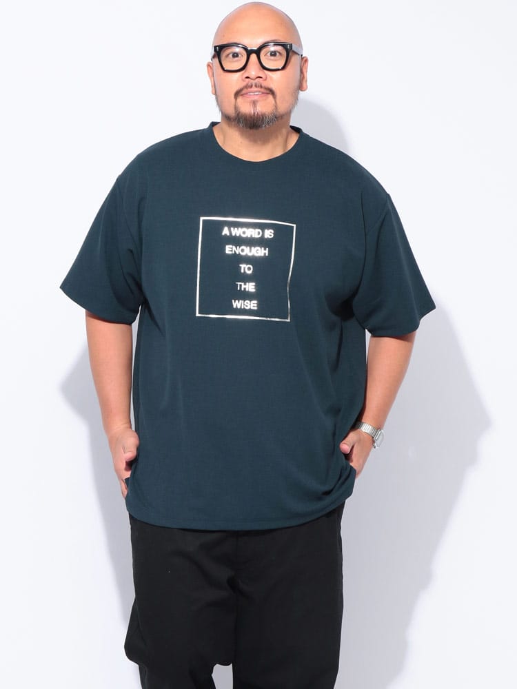 【WEB限定価格】半袖 Tシャツ 梨地 箔プリント クルーネック トップス ゆったり 春 夏 大きいサイズ メンズ