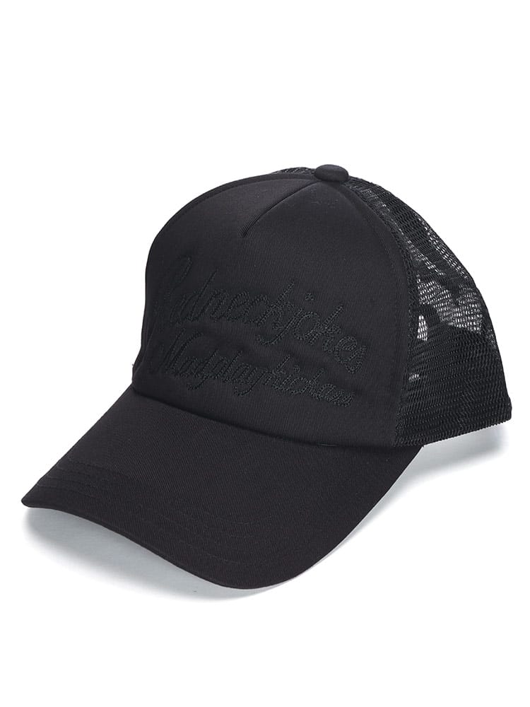 メッシュキャップ チェーンステッチ刺繍  帽子 刺繍 アメカジ 大きいサイズ メンズ