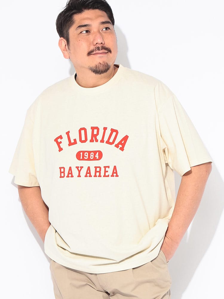 Tシャツ 半袖 メンズ 大きいサイズ 綿麻 プリント リネンミックス クルーネック トップス カジュアル 春 夏