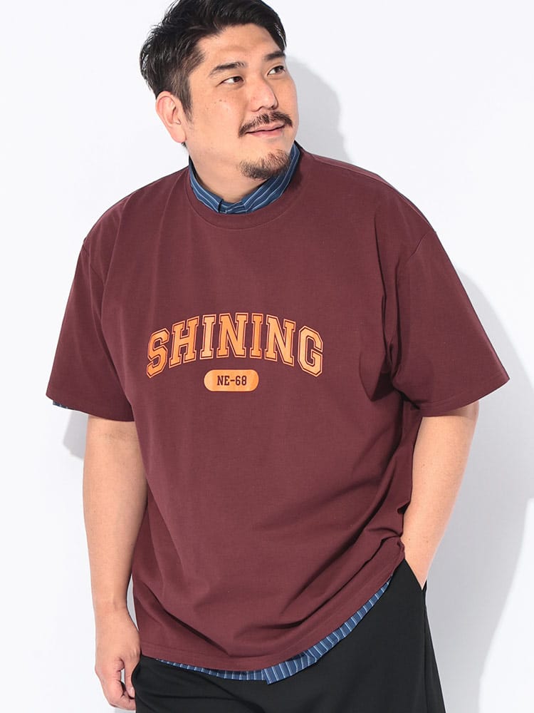 Tシャツ 半袖 メンズ 大きいサイズ 綿麻 プリント リネンミックス クルーネック トップス カジュアル 春 夏