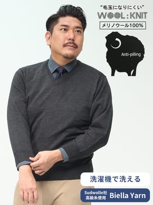 在庫処分 返品交換不可 大きいサイズ メンズ B＆T CLUB (ビーアンドティークラブ) 天竺編み 洗えるニット 無地 Vネック セーター